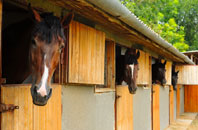free Auchtermuchty stable construction quotes